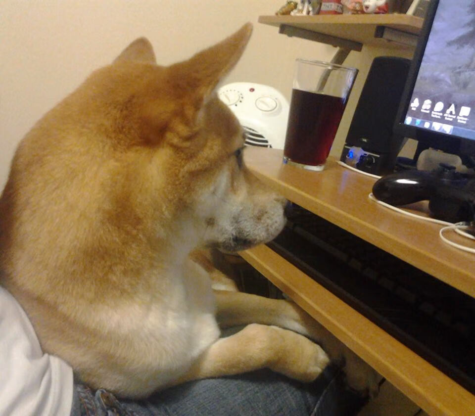 亚冠联赛中国足球惨败 球迷期待教练调整，亚冠足协