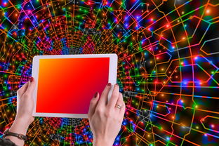 开云首页登录-体育新闻中心主办体育类数字创作者发展研讨会，体育产业数字化创新