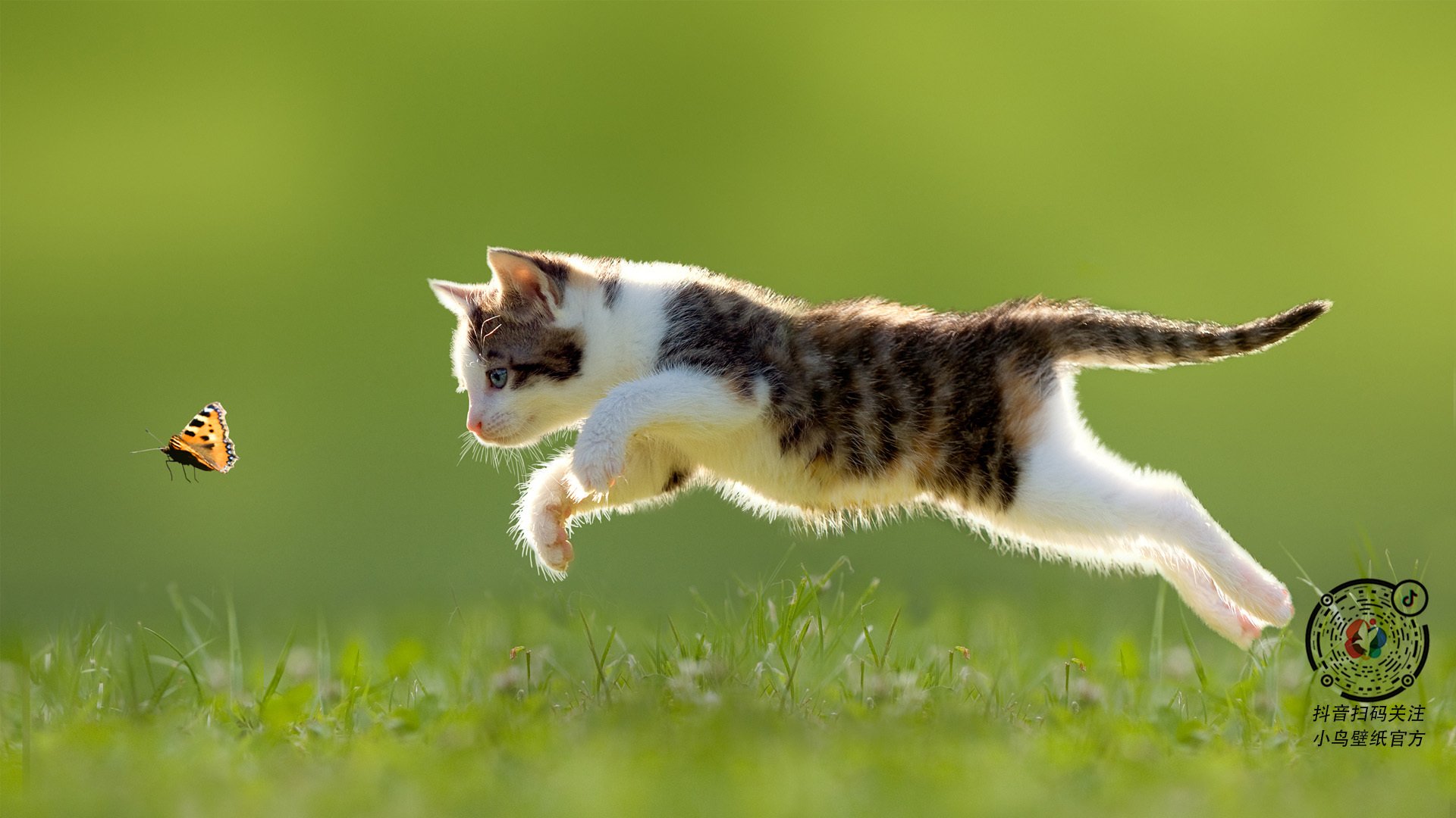 北京鸭小将突破能力增强为球队注入活力，北京鸭是哪个篮球队