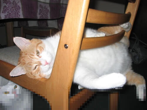 开云kaiyun-掩护后是否应依据节奏变化调整进攻方式，掩护的时候,下面那个说法是错误的(1分)