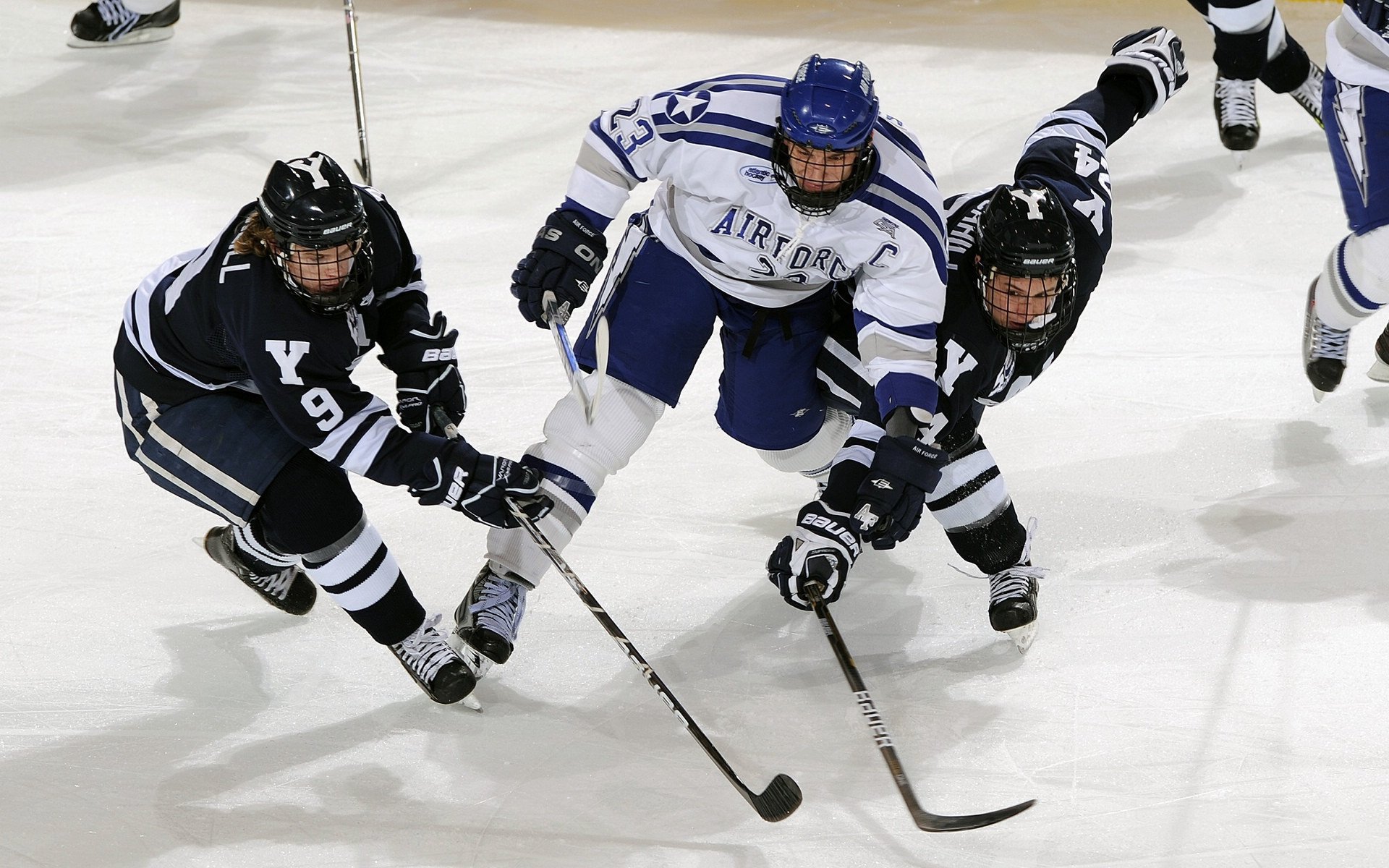 帕利斯特女子自由泳项目冉冉升起新星，帕特里斯